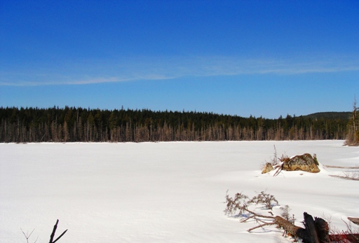 Calson Lake in early spring