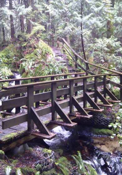 Bridge over Colvin Creek