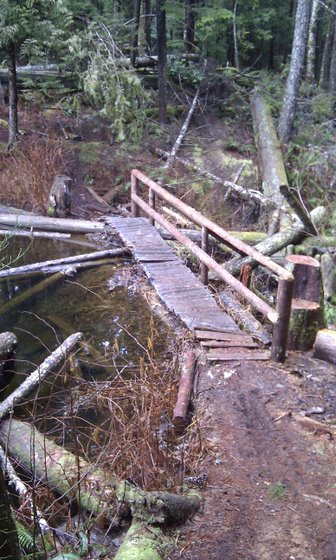 Bridge over beaver pond